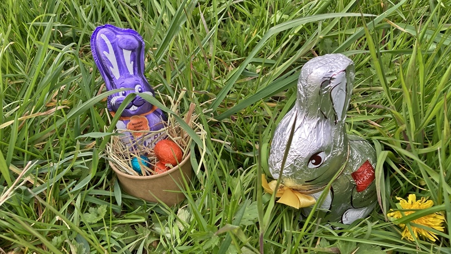 Zwei Osterhasen sind im hohen Gras