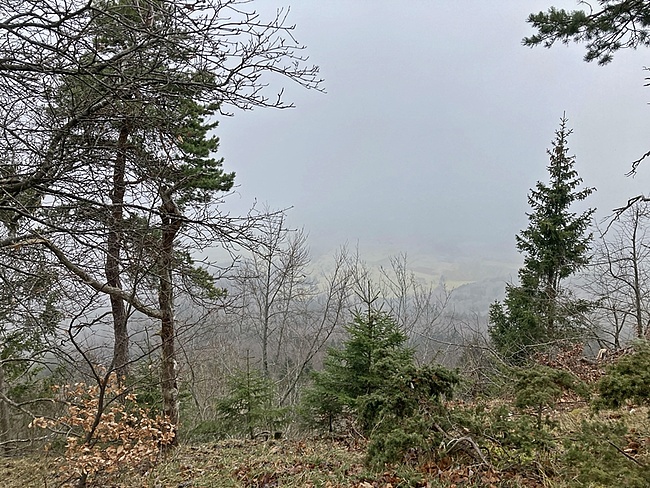 Bild vom Aussichtspunkt Hohenzollernblick über die Schwäbische Alb